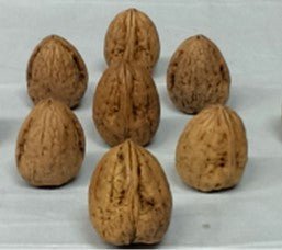Noci Biologiche Hartley - IL BIONOCETO